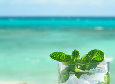 Der Rum mit H – Rhum Agricole