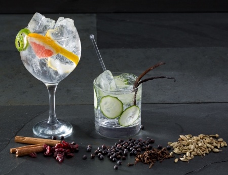 Gin Tonic Variationen
