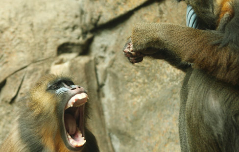 Warum sich so mancher Ärger nicht lohnt