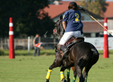 Gentleman-Sport: Polo