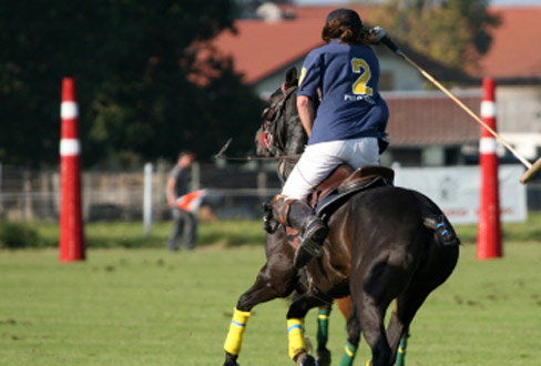 Polo - Mehr als nur schöne Hemden
