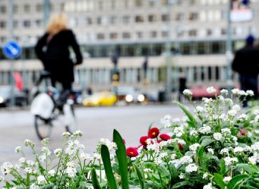 Guerilla Gardening – Ziviler Ungehorsam erwünscht