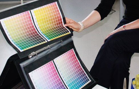 Gelbanteil in den Farben