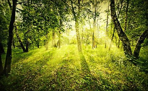 Der Gentleman achtet die Umwelt