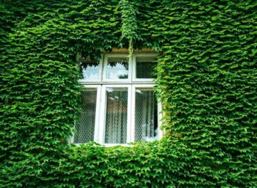 Nachhaltig bauen – So baut der Gentleman ein Haus