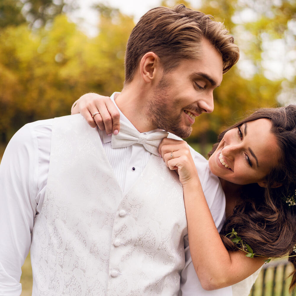 Fliege zum Hochzeitsanzug