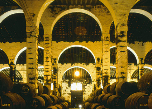 Der Sherry reift in einer Bodega (Foto: Team Brandy de Jerez)