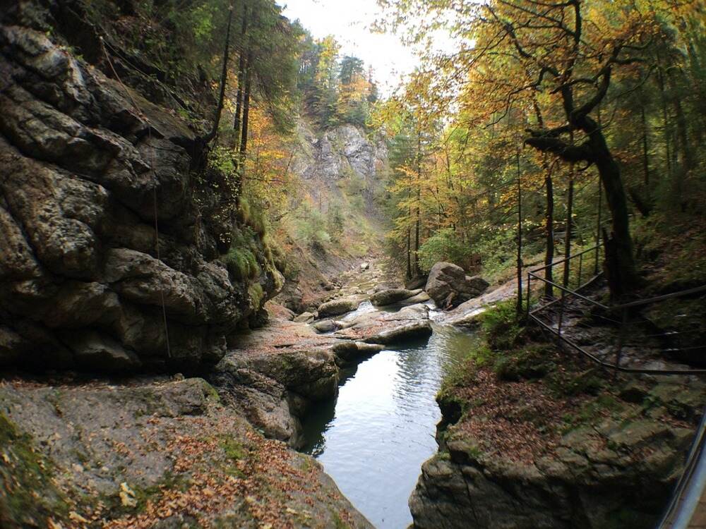Starzlachklamm im Allgäu