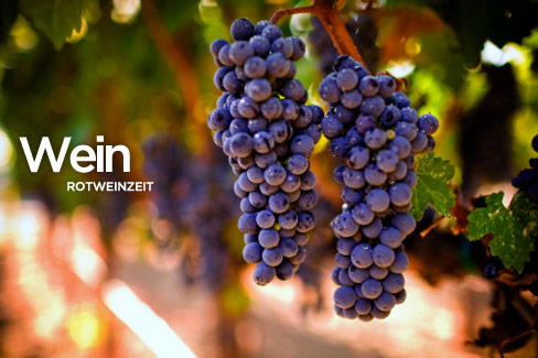 Rotwein